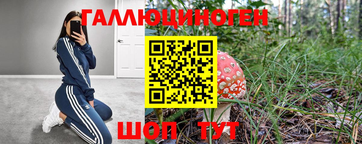 Галлюциногенные грибы Psilocybine cubensis Узловая