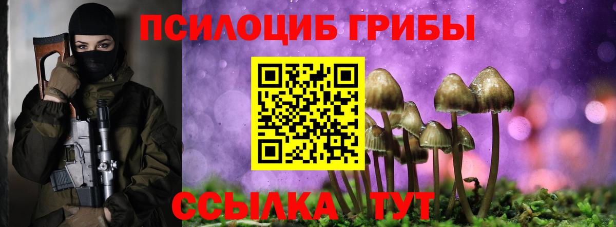 Псилоцибиновые грибы прущие грибы  Вход с VPN  купить наркотики сайты  Узловая 